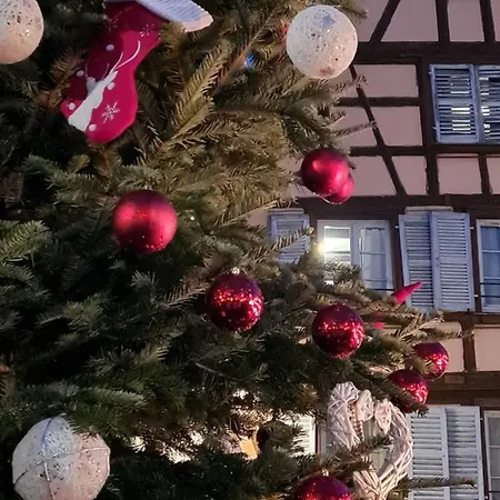 Mercure Centre Unterlinden קולמר
